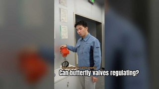 Kann ein explosionsgeschütztes Ventil mit Schmetterlingskugelsteuerung für explosionsgefährdete Bereiche sein